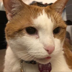 Meet your Posher, Chance